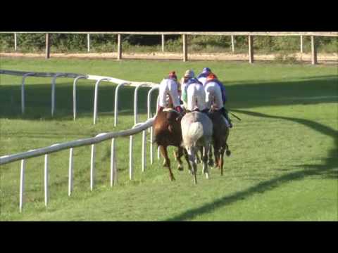 Dielsdorf/23.08.2016/Silberblaues Band von Zurich