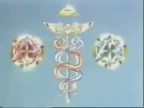 Die Legende von Atlantis Teil 5 Die Schlacht des Armageddon Die Wahrheitsfindung