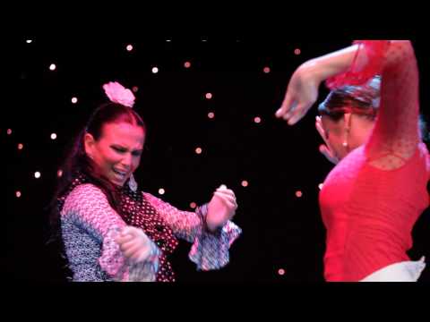 Among Friends. Promo Video. Cruise Entertainment. Entretenimiento para Cruceros. Flamenco Management