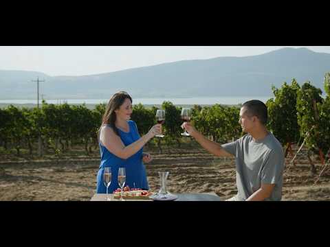 Οίνος ΠΟΠ Γουμένισσα & Οίνοι ΠΟΠ Αμύνταιο