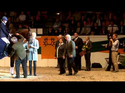 Connery - Trakehner Hengst des Jahres 2012