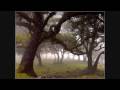 Ravers On Dope - Trip 2 Wonderland (Extended ...