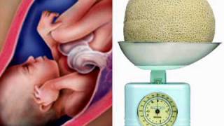 Development Week 32 Video