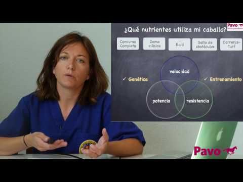 Sustratos energéticos según disciplina