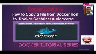 How to Copy a File from Docker Host to  Docker Container &amp; Viceversa