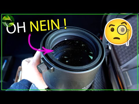 Was du über STAUB IM OBJEKTIV noch nicht wusstest! ❌