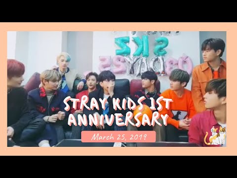 [Older Stray Kids Live] 190325 Stray Kids 1st Anniversary