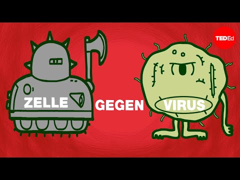 Zelle gegen Virus: ein Kampf um die Gesundheit – Shannon Stiles