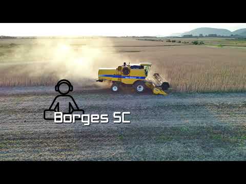 Mega Gaitaço 2020 (Borges SC)