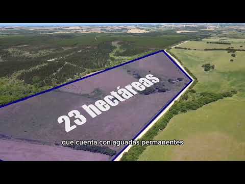 Campo agrícola en Paraje Minuano