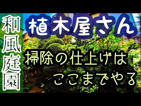 木製テラスの掃除方法は？あなたのための5つの自然な解決策!  庭園