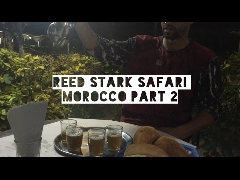 MOROCCO PART 2: THE INTERLUDE - reed stark safari
