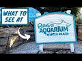 Cheap Tickets Ripley's Aquarium Myrtle Beach