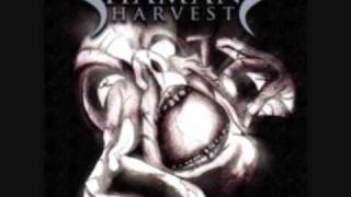 Shaman&#39;s Harvest - Dragonfly