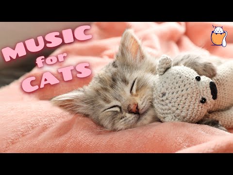 EXTRA LONG Music for Cats - 24 Hours of Cat Lullabies | Soothing Music for Cats  | Sleepy Cat