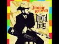 Junior Brown - Cagey Bea