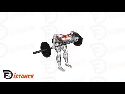 Exercice Rowing/Tirage prise large