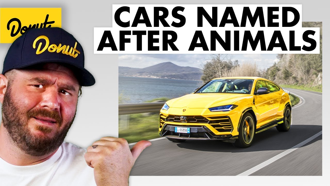 9 Cars Named After ANIMALS