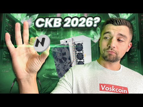 My $50,000 of Nervos Network CKB Mining Profitability Update