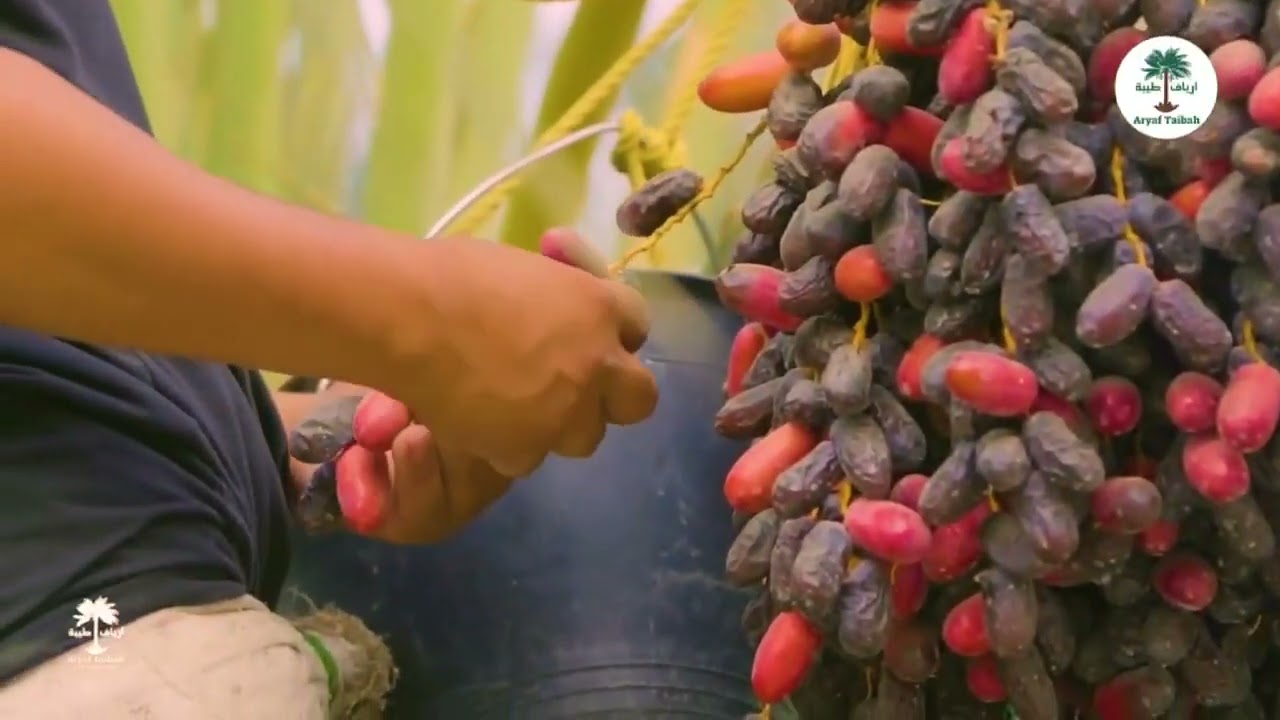 Fasiliti & Kemudahan