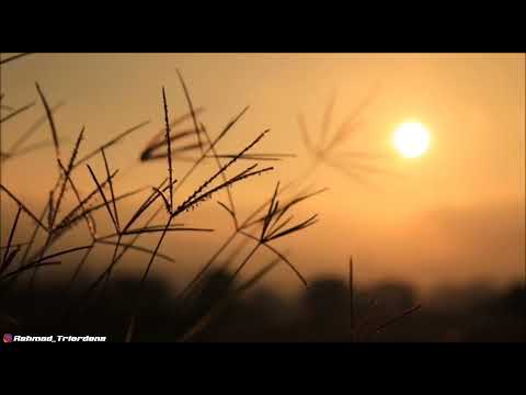 Denny Caknan - Pingal (Lirik)