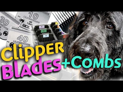 How to use DOG GROOMING CLIPPER BLADES and COMB...