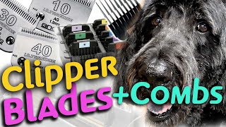 How to use DOG GROOMING CLIPPER BLADES and COMB ATTACHMENTS on a LARGE DOODLE