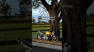 Download lagu STORY WA HEREX 30 DETIK TIGER ABIMANYU mp3