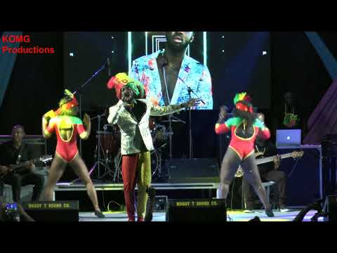 Matthew Thomas-Goldn 2020 groovy Monarch Performance