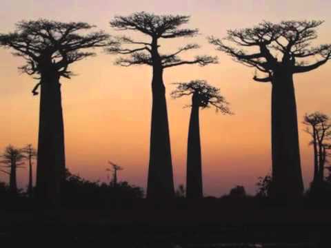 Satria ianao handeha- Black Jacks