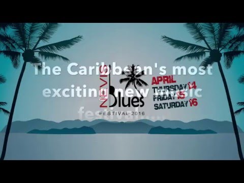 Nevis Blues Festival 2016 - Ian Siegal