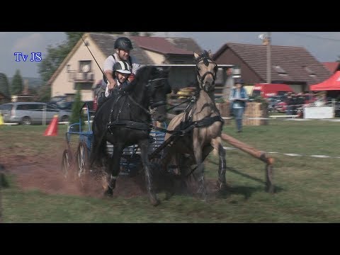 Vozatajské závody Batňovice - Kvíčala 2017