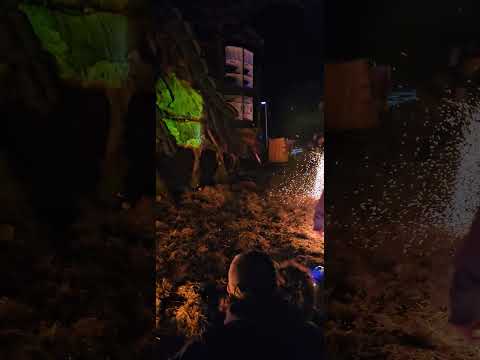 Master of puppets 2024 - Kodama stage