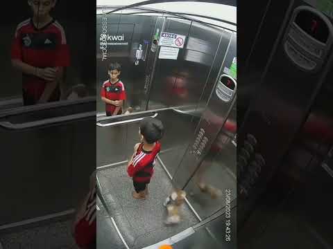 criança salva cachorro preso no elevador