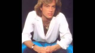 Andy Gibb    Warm Ride 1