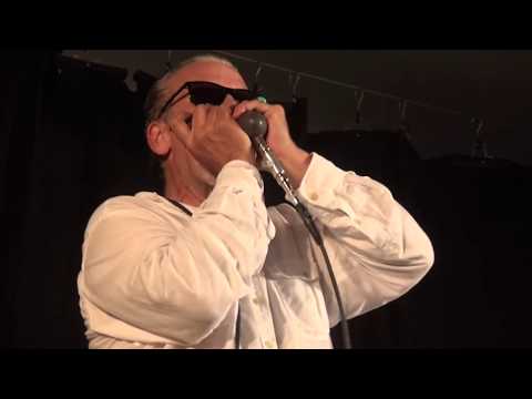 Mitch Kashmar Band feat. Junior Watson (USA), Petershagen, 13.05.2018