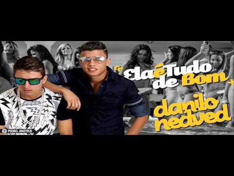 DANILO E NEDVED - ELA É TUDO DE BOM - MÚSICA NOVA