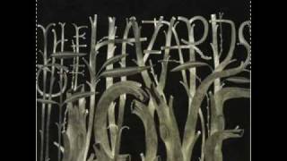 the Decemberists - isnt it a lovely night - (7 of 17)