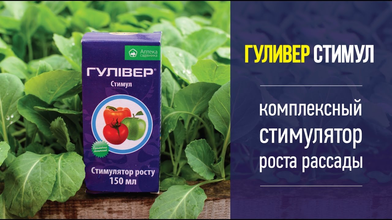 Регулятор роста Гуливер Стимул