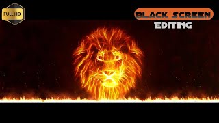 Fire Lion background green screen Animation Effect
