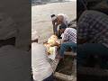 Kehu Kuch Lake Jayi Nirgun Trending Shortvideo Shorts