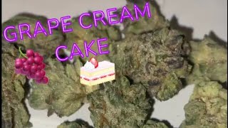 Grape Cream Cake Strain Review 🍇 🍰