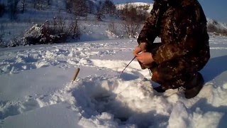 Рыбалка в контакте липецкой области