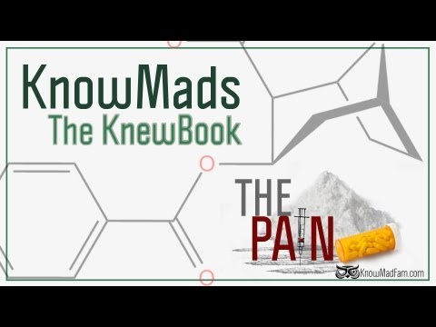 KnowMads ∞ The Pain ∞ The KnewBook (2012)