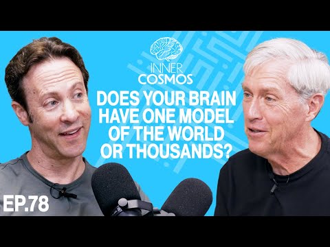 Does your brain have one model of the world or thousands? | Inner Cosmos with David Eagleman