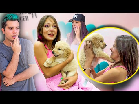 REAÇÃO DA BIANKINHA AO VER O CACHORRINHO ! - Vida de Maloucos #4