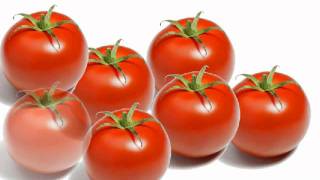 Les tomates (chanson chti)
