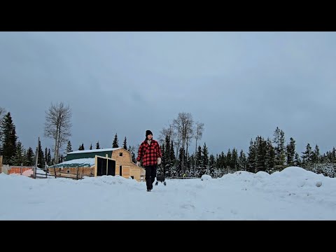 Winter Days on Our Remote Off Grid Homestead