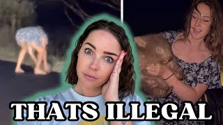 Entitled Influencers:  She stole BABY WOMBAT FROM ITS MOM
