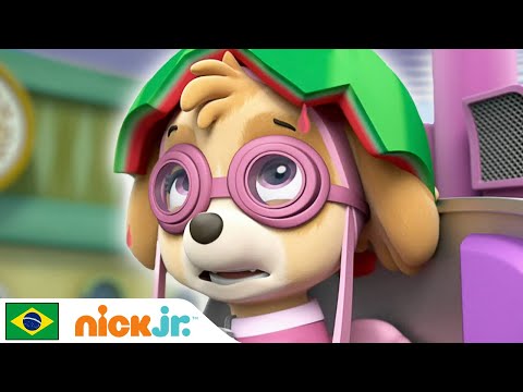 Capa de Patrulha Canina | Hora da Corrida | Nick Jr. em Português